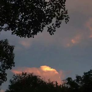 阿~宝宝快C死我
