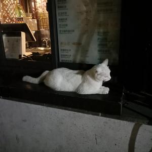 阿~宝宝快C死我
