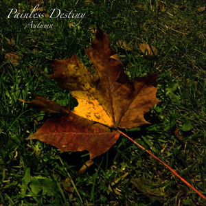 阿~宝宝快C死我
