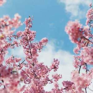 阿~宝宝快C死我
